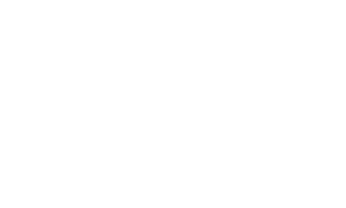 Daily expenses white